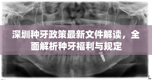 深圳種牙政策最新文件解讀，全面解析種牙福利與規(guī)定