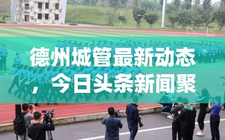 德州城管最新動態(tài)，今日頭條新聞聚焦城市管理