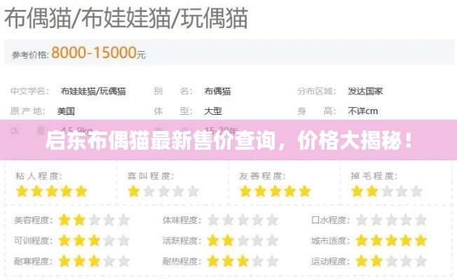 啟東布偶貓最新售價(jià)查詢，價(jià)格大揭秘！