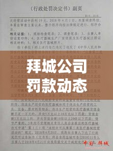 拜城公司罰款動(dòng)態(tài)，最新消息權(quán)威發(fā)布