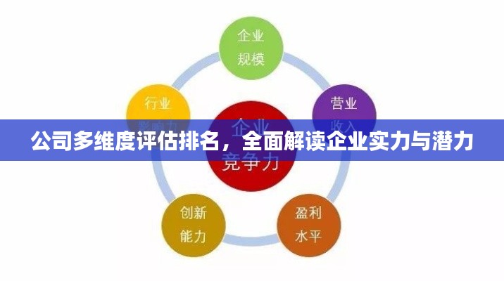 公司多維度評估排名，全面解讀企業(yè)實力與潛力