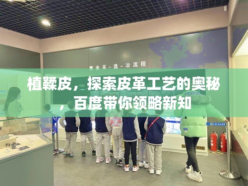 植鞣皮，探索皮革工藝的奧秘，百度帶你領(lǐng)略新知