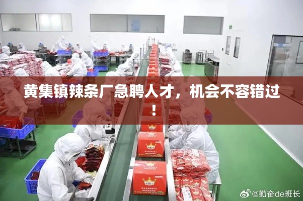 黃集鎮(zhèn)辣條廠急聘人才，機(jī)會(huì)不容錯(cuò)過！
