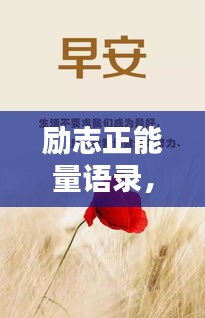 勵(lì)志正能量語(yǔ)錄，激發(fā)你內(nèi)心力量的情感寄語(yǔ)