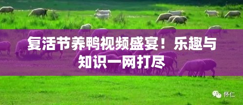 復活節(jié)養(yǎng)鴨視頻盛宴！樂趣與知識一網打盡