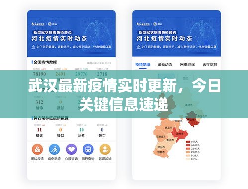 武漢最新疫情實時更新，今日關鍵信息速遞