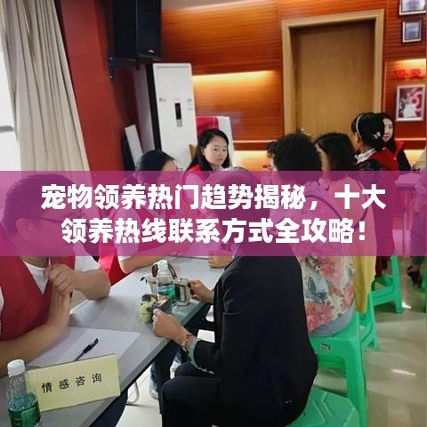 寵物領(lǐng)養(yǎng)熱門趨勢(shì)揭秘，十大領(lǐng)養(yǎng)熱線聯(lián)系方式全攻略！