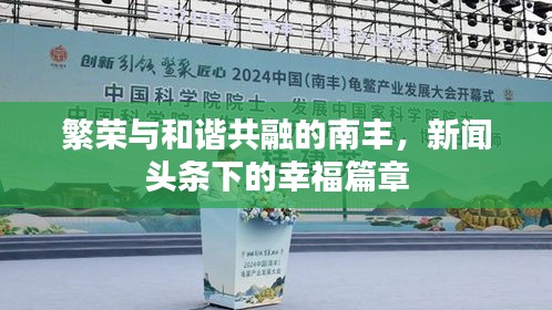 繁榮與和諧共融的南豐，新聞?lì)^條下的幸福篇章