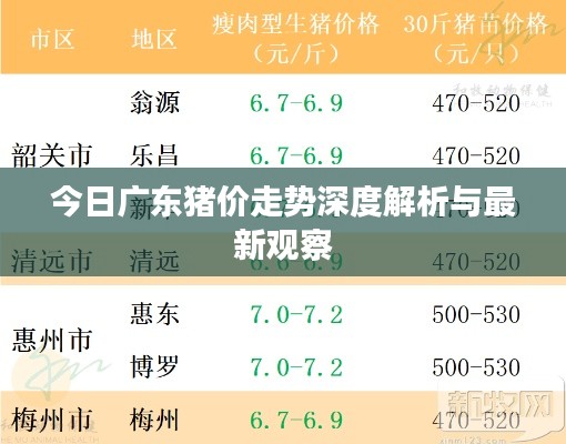 今日廣東豬價走勢深度解析與最新觀察