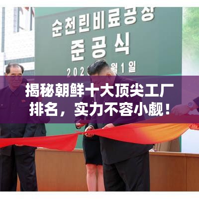 揭秘朝鮮十大頂尖工廠排名，實力不容小覷！