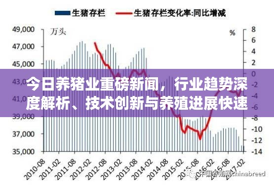 今日養(yǎng)豬業(yè)重磅新聞，行業(yè)趨勢深度解析、技術(shù)創(chuàng)新與養(yǎng)殖進(jìn)展快速更新