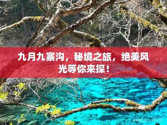 九月九寨溝，秘境之旅，絕美風(fēng)光等你來探！