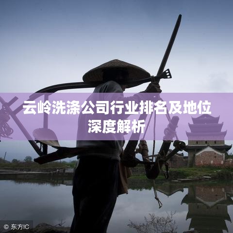 云嶺洗滌公司行業(yè)排名及地位深度解析