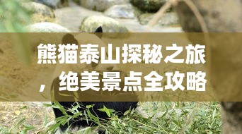 熊貓?zhí)┥教矫刂?，絕美景點全攻略！