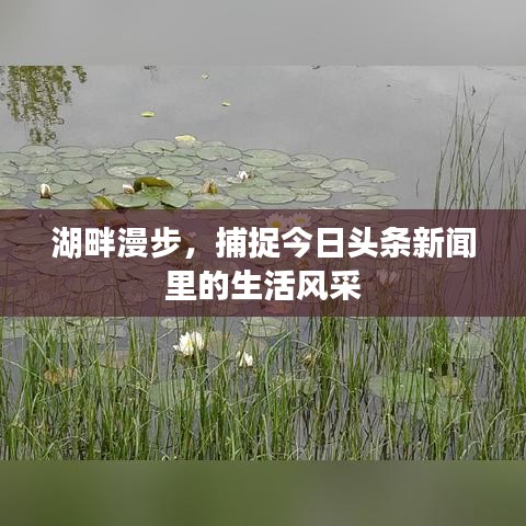 湖畔漫步，捕捉今日頭條新聞里的生活風(fēng)采