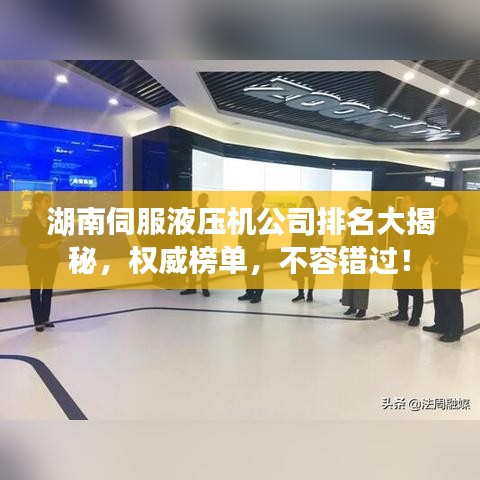 湖南伺服液壓機公司排名大揭秘，權(quán)威榜單，不容錯過！