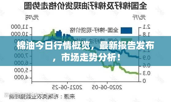 棉油今日行情概覽，最新報(bào)告發(fā)布，市場走勢分析！