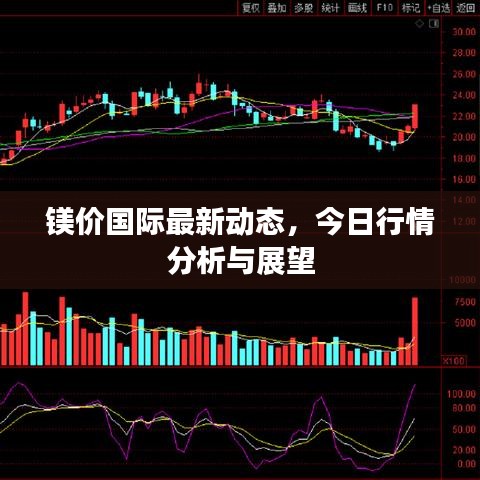 鎂價國際最新動態(tài)，今日行情分析與展望