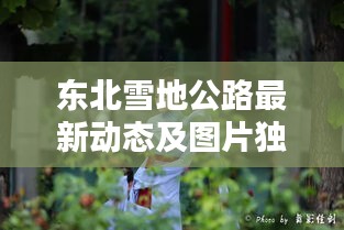 東北雪地公路最新動態(tài)及圖片獨家報道