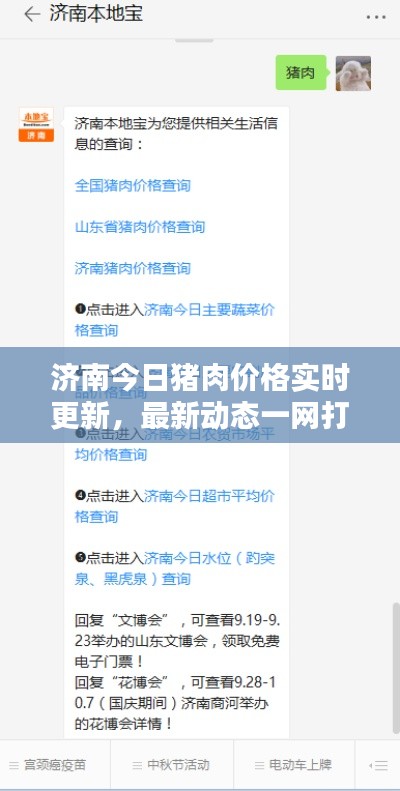 濟(jì)南今日豬肉價(jià)格實(shí)時(shí)更新，最新動(dòng)態(tài)一網(wǎng)打盡！