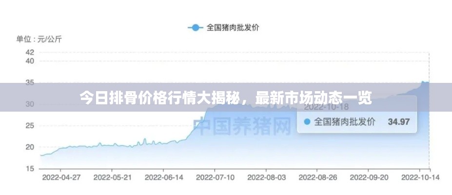 今日排骨價(jià)格行情大揭秘，最新市場(chǎng)動(dòng)態(tài)一覽