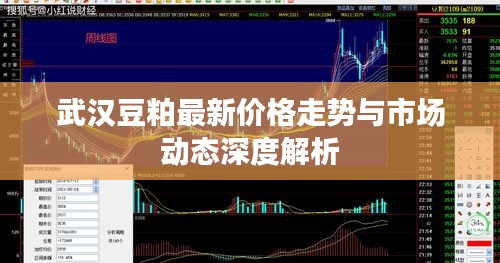 武漢豆粕最新價(jià)格走勢(shì)與市場(chǎng)動(dòng)態(tài)深度解析