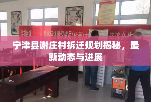 寧津縣謝莊村拆遷規(guī)劃揭秘，最新動(dòng)態(tài)與進(jìn)展