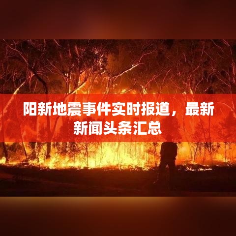 陽新地震事件實(shí)時(shí)報(bào)道，最新新聞?lì)^條匯總