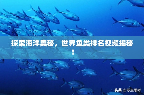探索海洋奧秘，世界魚類排名視頻揭秘！