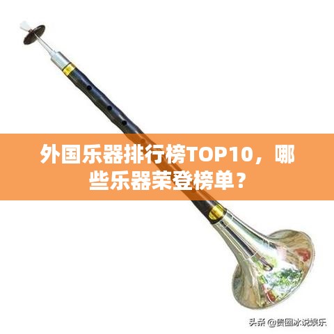 外國(guó)樂器排行榜TOP10，哪些樂器榮登榜單？