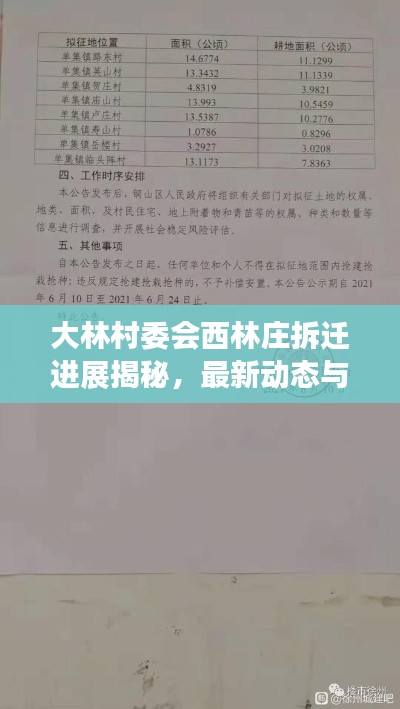 大林村委會西林莊拆遷進展揭秘，最新動態(tài)與消息匯總