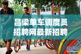 呂梁單車調(diào)度員招聘網(wǎng)最新招聘動態(tài)速遞