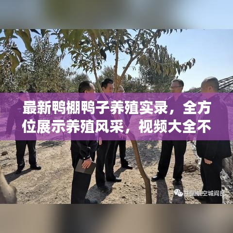 最新鴨棚鴨子養(yǎng)殖實錄，全方位展示養(yǎng)殖風采，視頻大全不容錯過