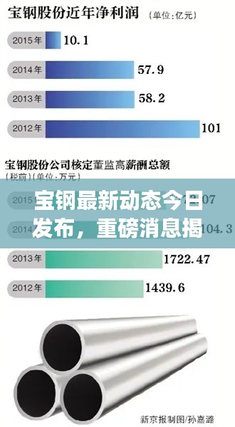 寶鋼最新動(dòng)態(tài)今日發(fā)布，重磅消息揭秘，行業(yè)矚目！