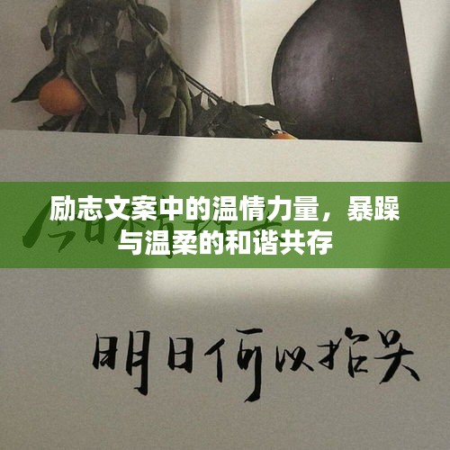 勵志文案中的溫情力量，暴躁與溫柔的和諧共存