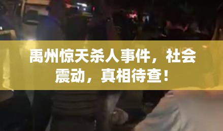 禹州驚天殺人事件，社會震動，真相待查！