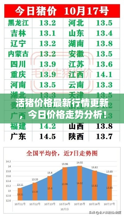 活豬價格最新行情更新，今日價格走勢分析！
