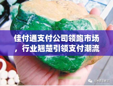 佳付通支付公司領(lǐng)跑市場(chǎng)，行業(yè)翹楚引領(lǐng)支付潮流排名揭秘
