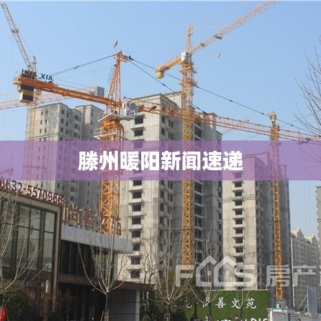 滕州暖陽(yáng)新聞速遞