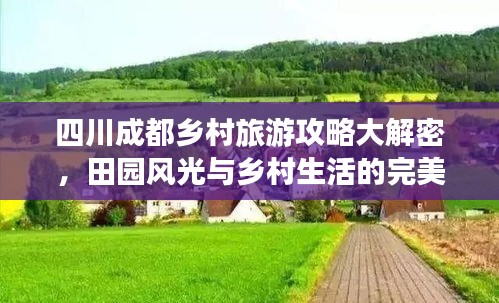 四川成都鄉(xiāng)村旅游攻略大解密，田園風(fēng)光與鄉(xiāng)村生活的完美體驗(yàn)