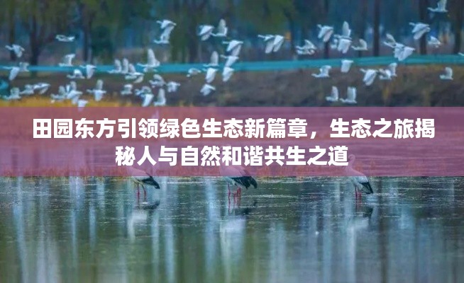 田園東方引領(lǐng)綠色生態(tài)新篇章，生態(tài)之旅揭秘人與自然和諧共生之道