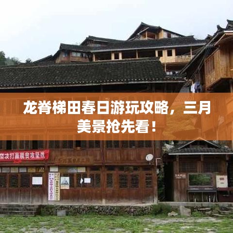 龍脊梯田春日游玩攻略，三月美景搶先看！