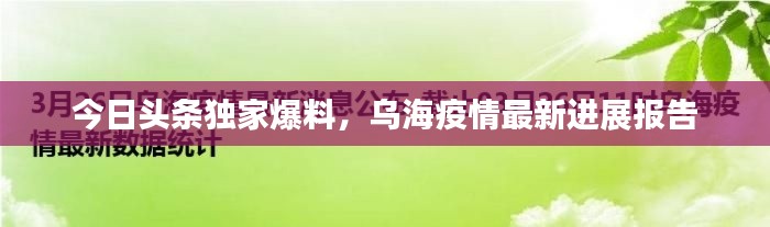 今日頭條獨(dú)家爆料，烏海疫情最新進(jìn)展報(bào)告