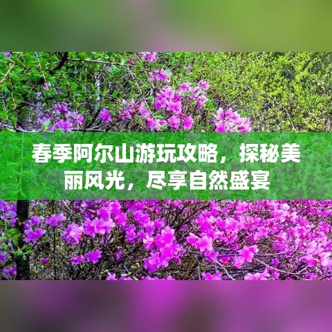 春季阿爾山游玩攻略，探秘美麗風光，盡享自然盛宴