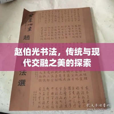 趙伯光書法，傳統(tǒng)與現(xiàn)代交融之美的探索