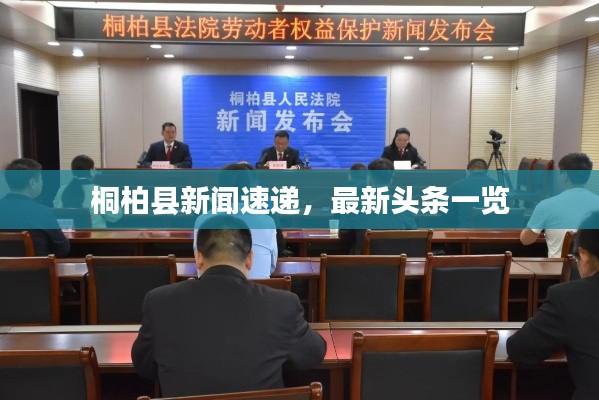 桐柏縣新聞速遞，最新頭條一覽