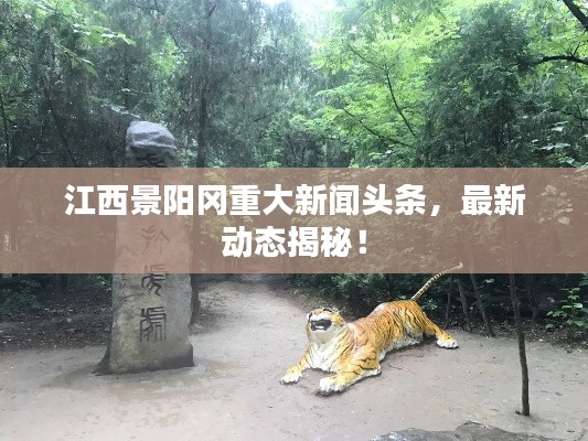 江西景陽(yáng)岡重大新聞?lì)^條，最新動(dòng)態(tài)揭秘！