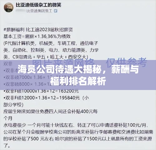 海員公司待遇大揭秘，薪酬與福利排名解析