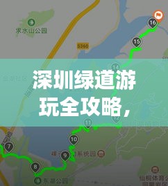 深圳綠道游玩全攻略，最新路線指南