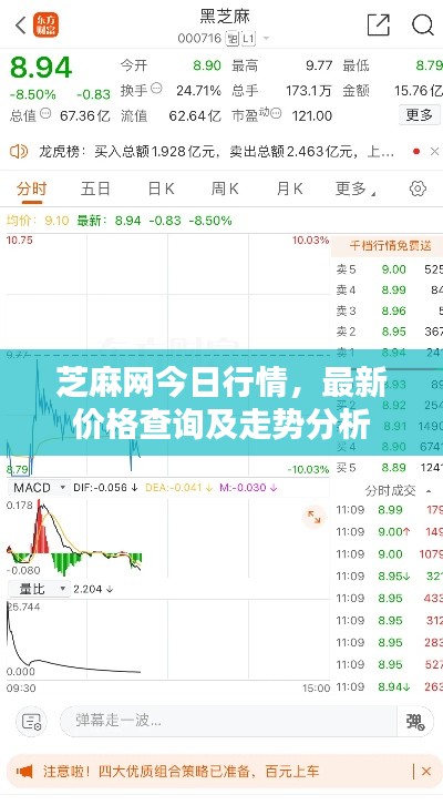 芝麻網(wǎng)今日行情，最新價格查詢及走勢分析